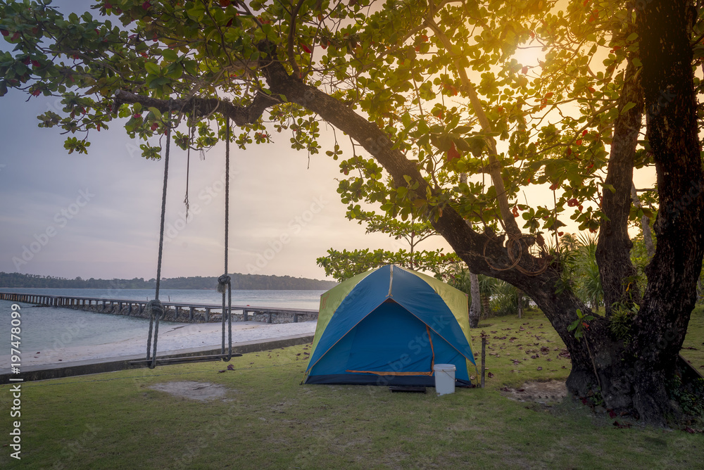 A blue traveller camping tent setting near wooden swing under tree on beach.