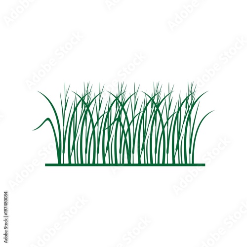 icon logo green grass vector symbol design