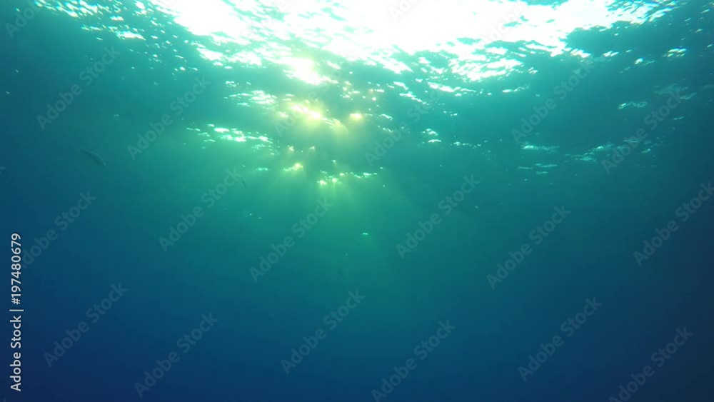 Underwater sunlight in ocean Underwater sunlight in ocean
