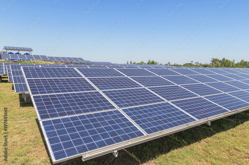   Close up rows array of polycrystalline silicon solar cells or photovoltaics in solar power plant alternative turn up skyward absorb the sunlight from the sun 