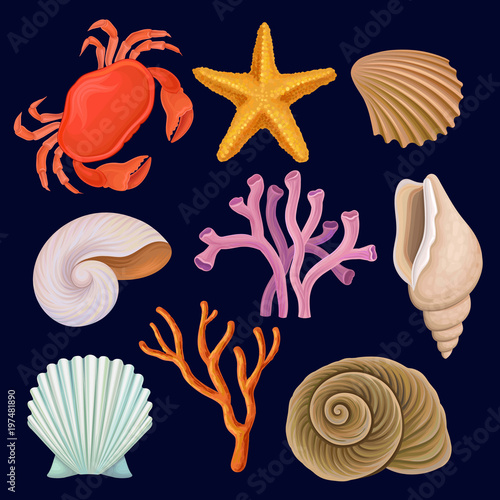 Underwater sea creatures set, crab, starfich, seashell, coral vector Illustrations on a dark blue background