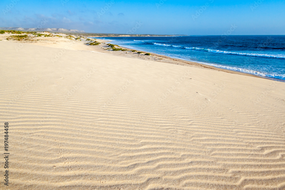 Sand dune and wild beach