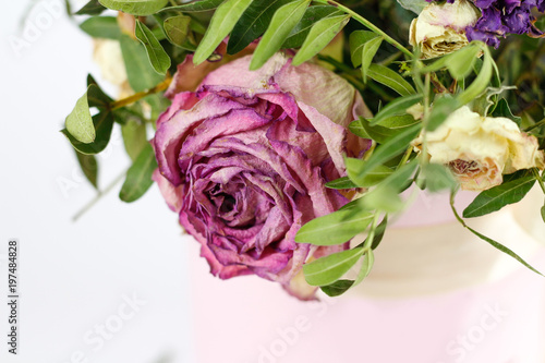 Fototapeta Naklejka Na Ścianę i Meble -  The dried flowers. Dead pink rose. Close up