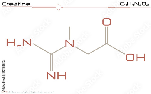 Large and detailed infographic of the molecule of Creatine