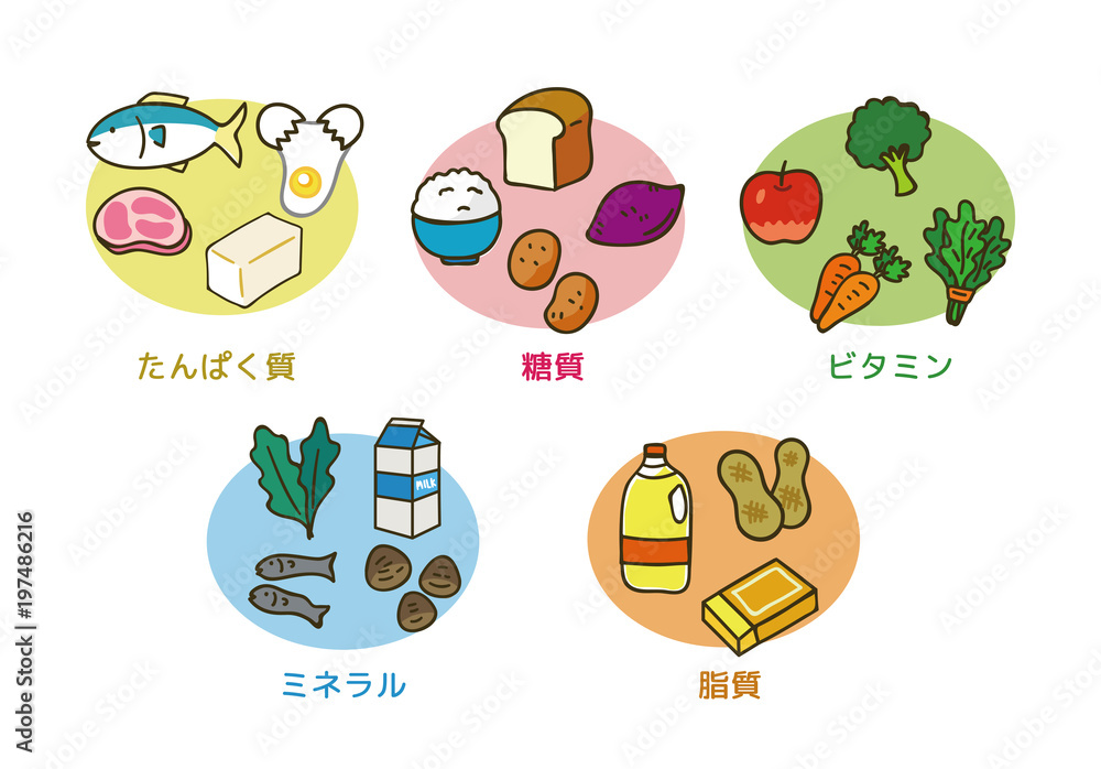 5大栄養素のイラスト素材 Stock Vector Adobe Stock