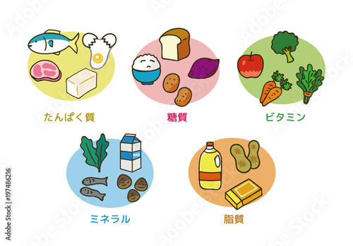 5大栄養素のイラスト素材