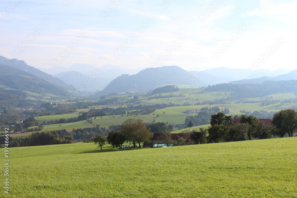 Waldneukirchen - Austria