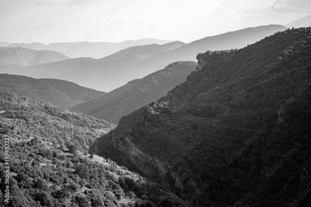 Obraz premium Misty spring riverbed landscape in black and white