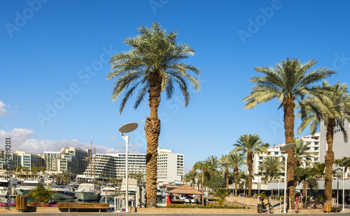 Central marine and promenade with pleasure boats, surrounding hotels, market and shopping places in Eilat - famous resort and recreational city in Israel and Middle East