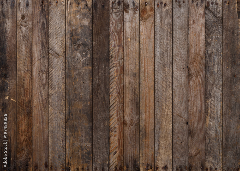 Wood texture. Big weathered wooden background from planks with rusty nails. Sharp and highly detailed. - obrazy, fototapety, plakaty 