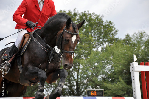 Hürdenspringen beim Reitsport, ein Sportpferd mit Reiter spring über ein Hindernis beim Reitturnier,  photo