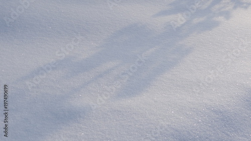 The texture of the snow in the sun.