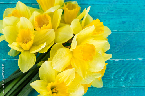 Fototapeta Naklejka Na Ścianę i Meble -  narcissus on a blue background