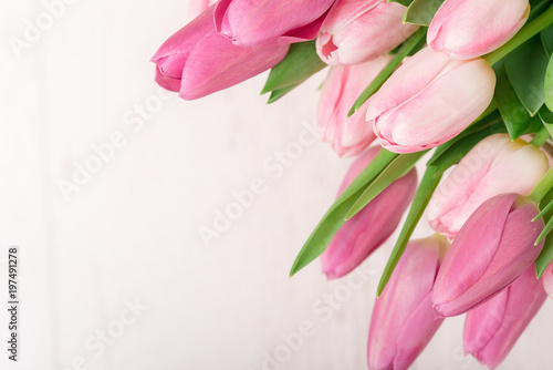 Wallpaper Mural Tulips on the white wooden background Torontodigital.ca