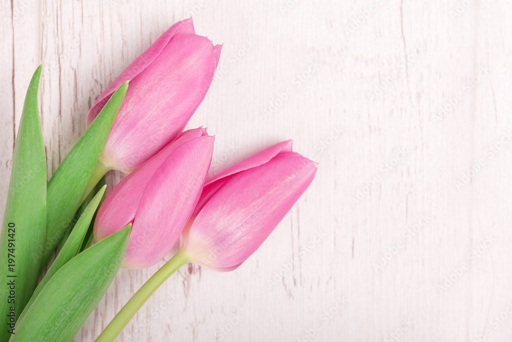 Tulips on the white wooden background