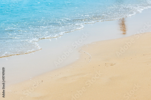 Quiet, calm sea and yellow, fine sand beach. Copy space for text