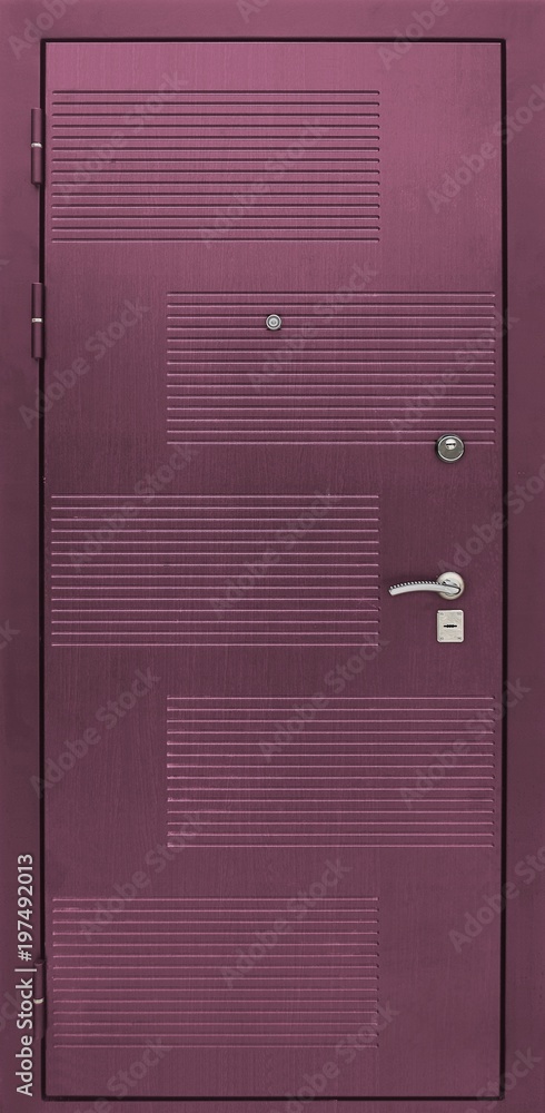 Fototapeta premium The model of the entrance metal door (isolated)