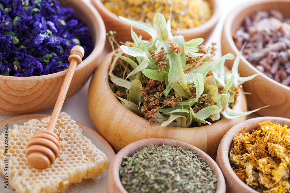 herbalism herbalism