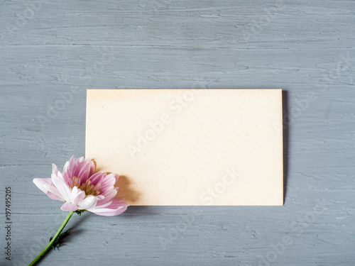 Pink chrysanthemum on gray concrete background Card for text