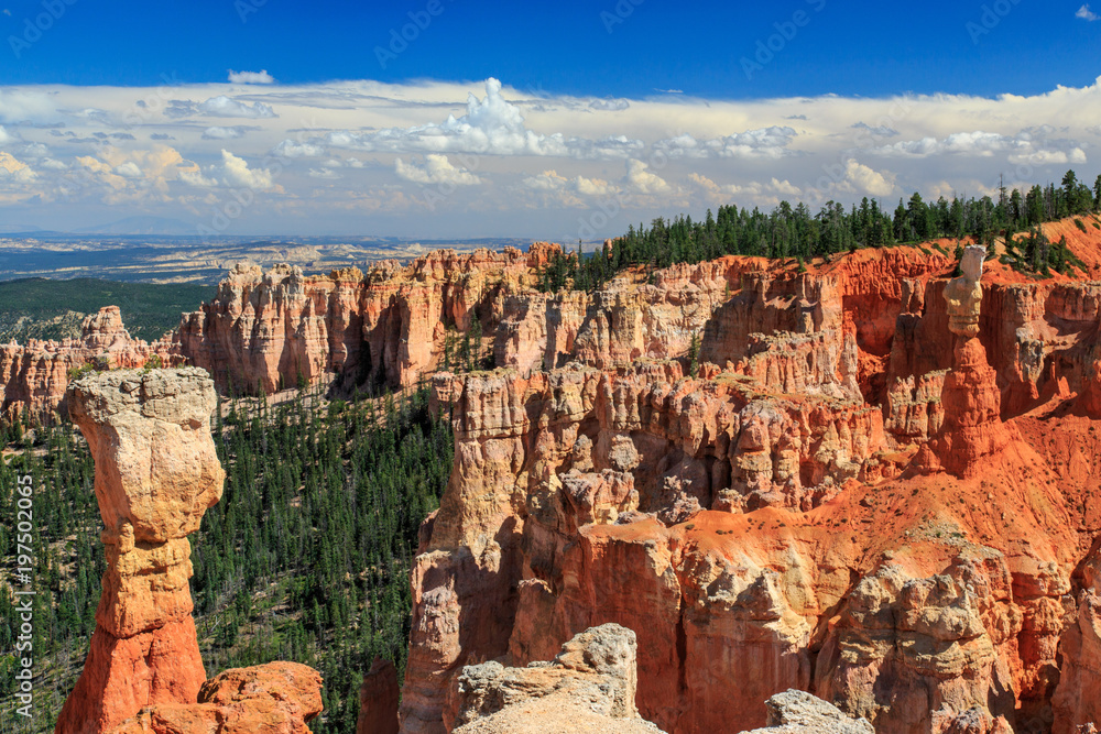 Iconic Bryce Hoodoos