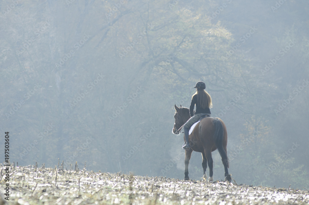 Obraz premium Frau auf Pferd auf Feld