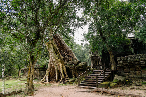 Angkor wat - one of the temples in the khmer complex with roots and trees over the walls - Siem Reap  Cambodia