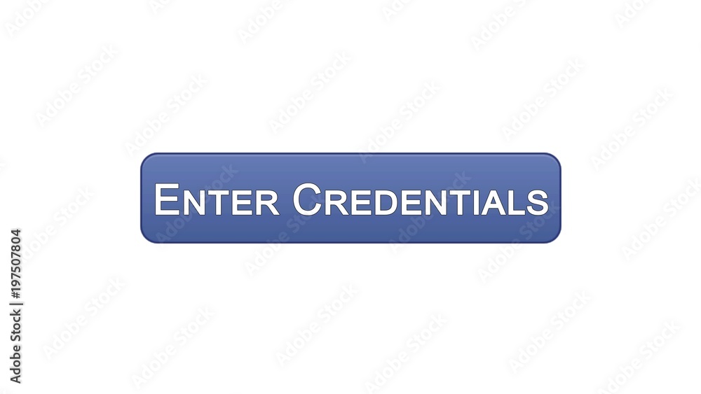 Enter credentials web interface button violet color, registration online service