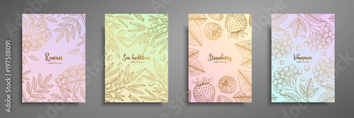 Gold colorful collection of cards design with berries. Vintage gold frame with berries illustrations - rowan, sea buckthorn, strawberry, viburnum. Great design for natural and organic products.