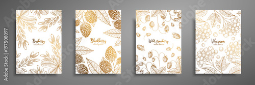 Gold collection of cards design with berries. Vintage gold frame with ripe berries illustrations - blackberry, wild strawberry, viburnum, barberry. Great design for natural and organic products.