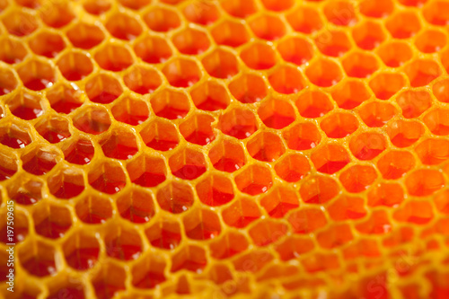 Close up studio shot of organic honey in a honey-comb - healthy food concept