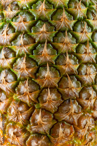 Texture pineapple close up for background