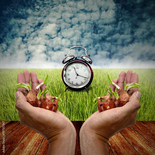 Time to platation, Agriculture concept