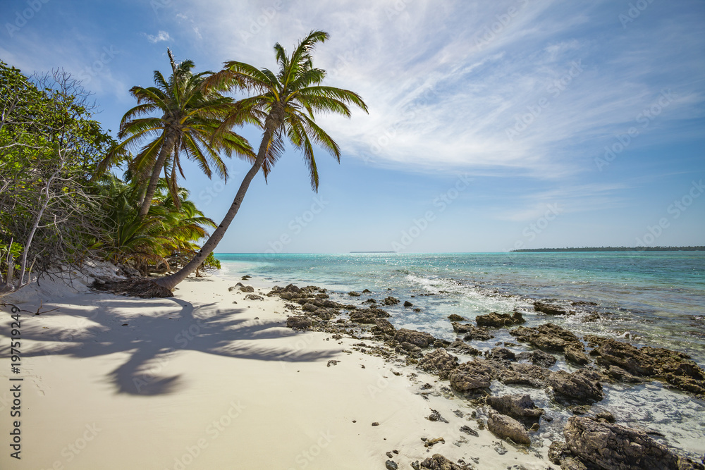 Palmen und Traumstände im Cocos Keeling Atoll, Australien, Indischer Ozean