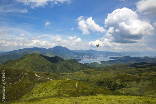 Hong Kong Landscape with Butterfly