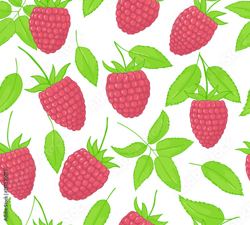 Raspberry Seamless Patterns. Endless ornament of leaves and pink forest berry . Background