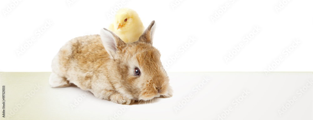 Naklejka premium Frohe Ostern!