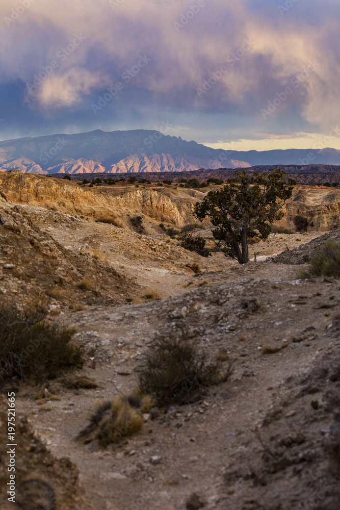 A path leading to a sunset storm over distant mountains A path leading to a sunset storm over distant mountains