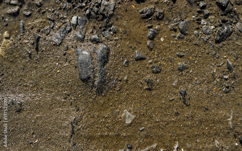 Wet soil background. Wet ground and stones. Natural background. Stony ground. Stony soil