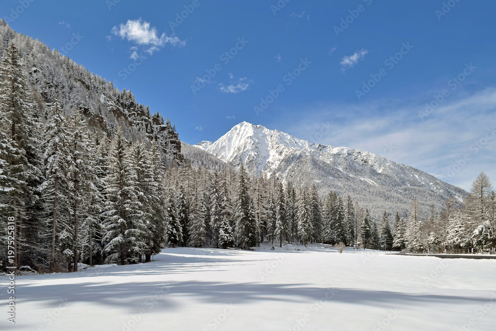 Champoluc Valle d'Aosta