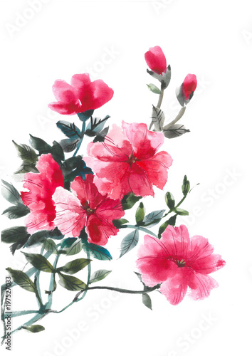Flowering petunia. Delicate pink petunia. Watercolor image of petunia.