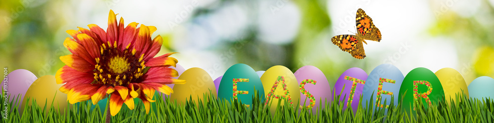 greeting, festive card for easter close-up greeting, festive card for easter close-up