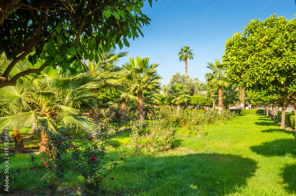 Obraz premium Beautiful park in old medina of Marrakesh, Morocco
