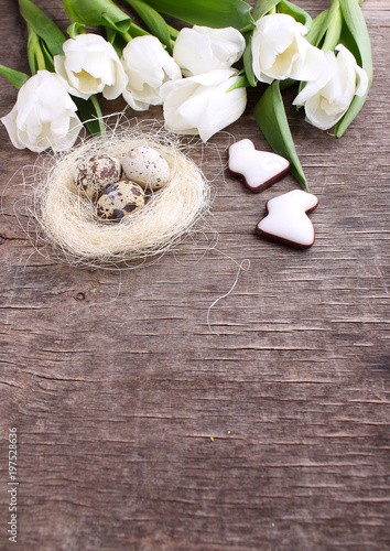 spring tulips, chocolate bunny and quail eggs in the nest on an old rustic background, easter