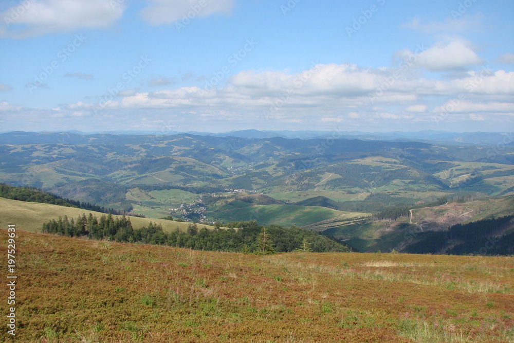 Panorama of the Carpathian mountains from the height of the alpine meadow.
