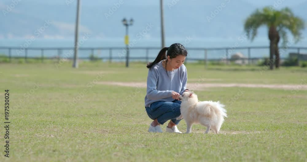 Woman playing dog in the city park Woman playing dog in the city park