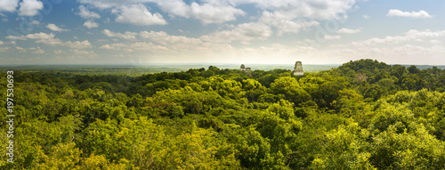 Tikal Guatemala Panorama photo