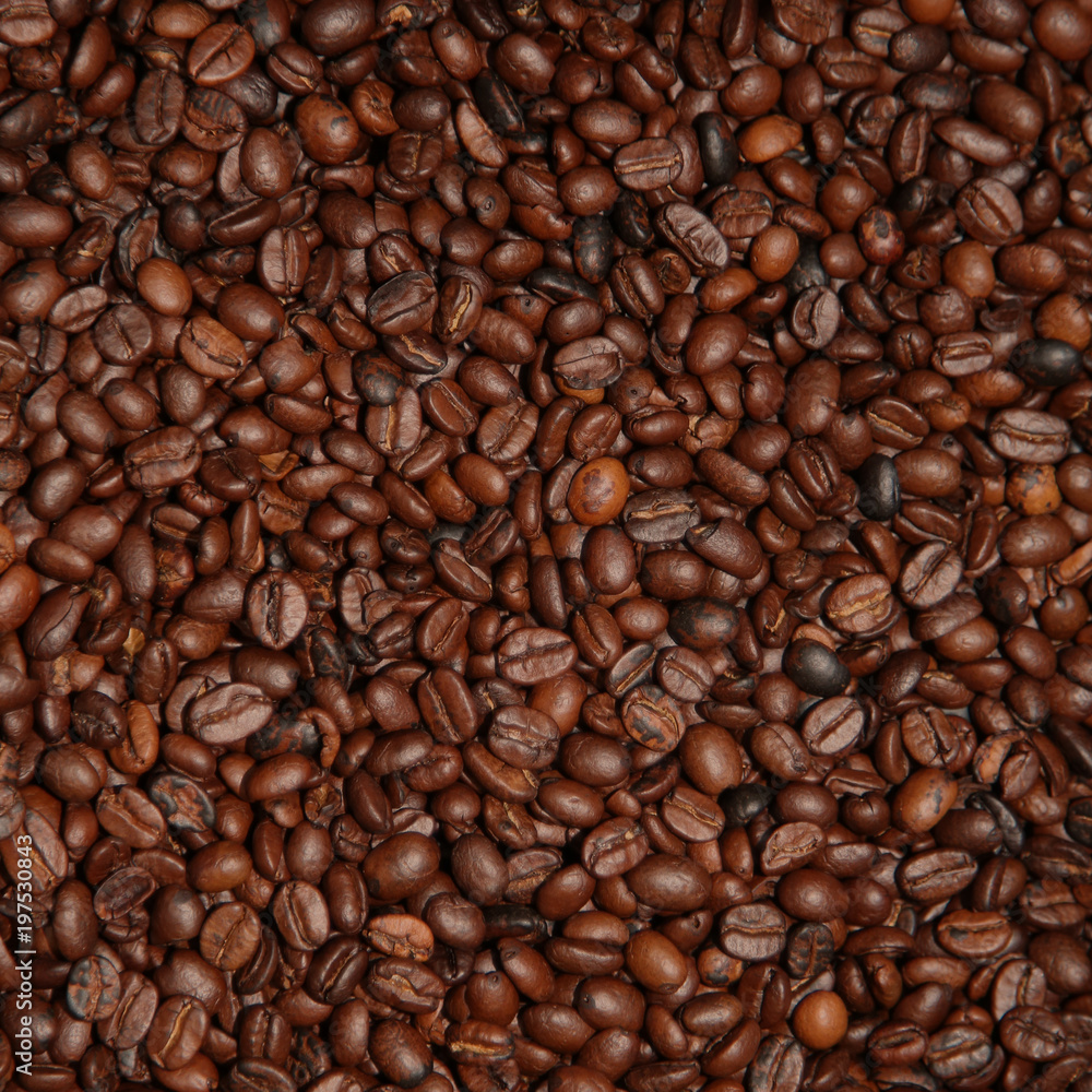 Fototapeta premium Ziarna kawy