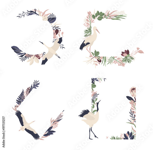 Maison de fleurs. Flowers and florals geometric frames #1