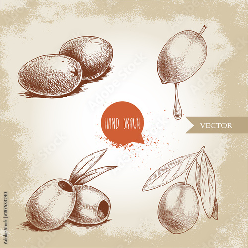Sketch hand drawn olives set. Bunch, olive fruit with oil drop, boneless olives and olive branch with leaves. Vector illustration isolated on old background.