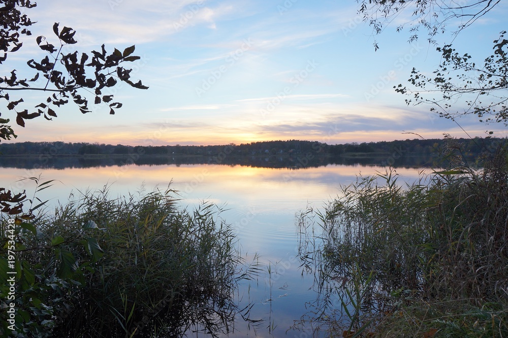 summer landscape pink and orange sunset over the tranquil river and trees on the shore